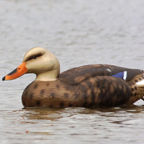 Mallard Duck Decoys (6 Pcs)