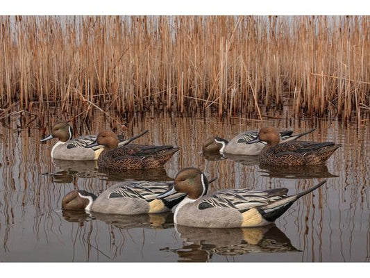 Pintail Duck Decoys (6 Pcs)