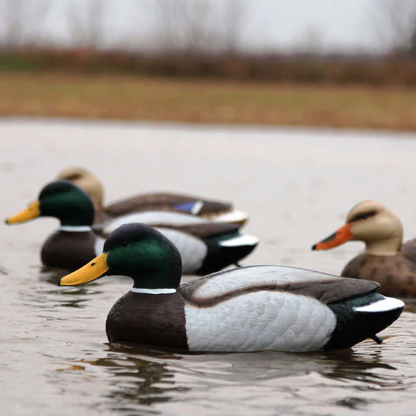 Mallard Duck Decoys (6 Pcs)