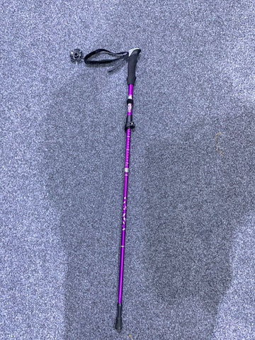 Bubuda Hiking Stick