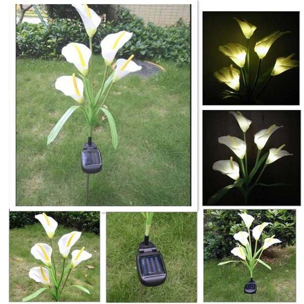 Calla Lily Solar Powered Artificial Flower Lamp - (Pair)