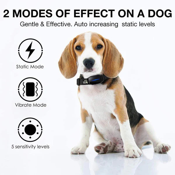 Dog Smart Bark Controller