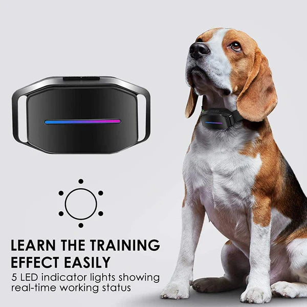 Dog Smart Bark Controller