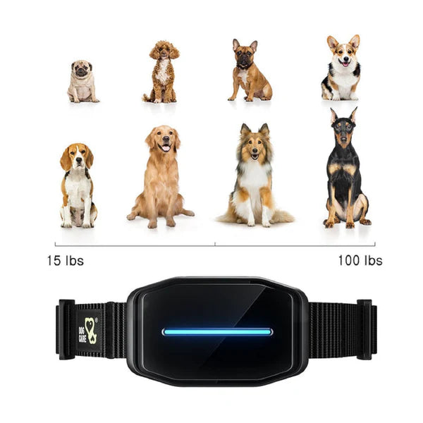 Dog Smart Bark Controller