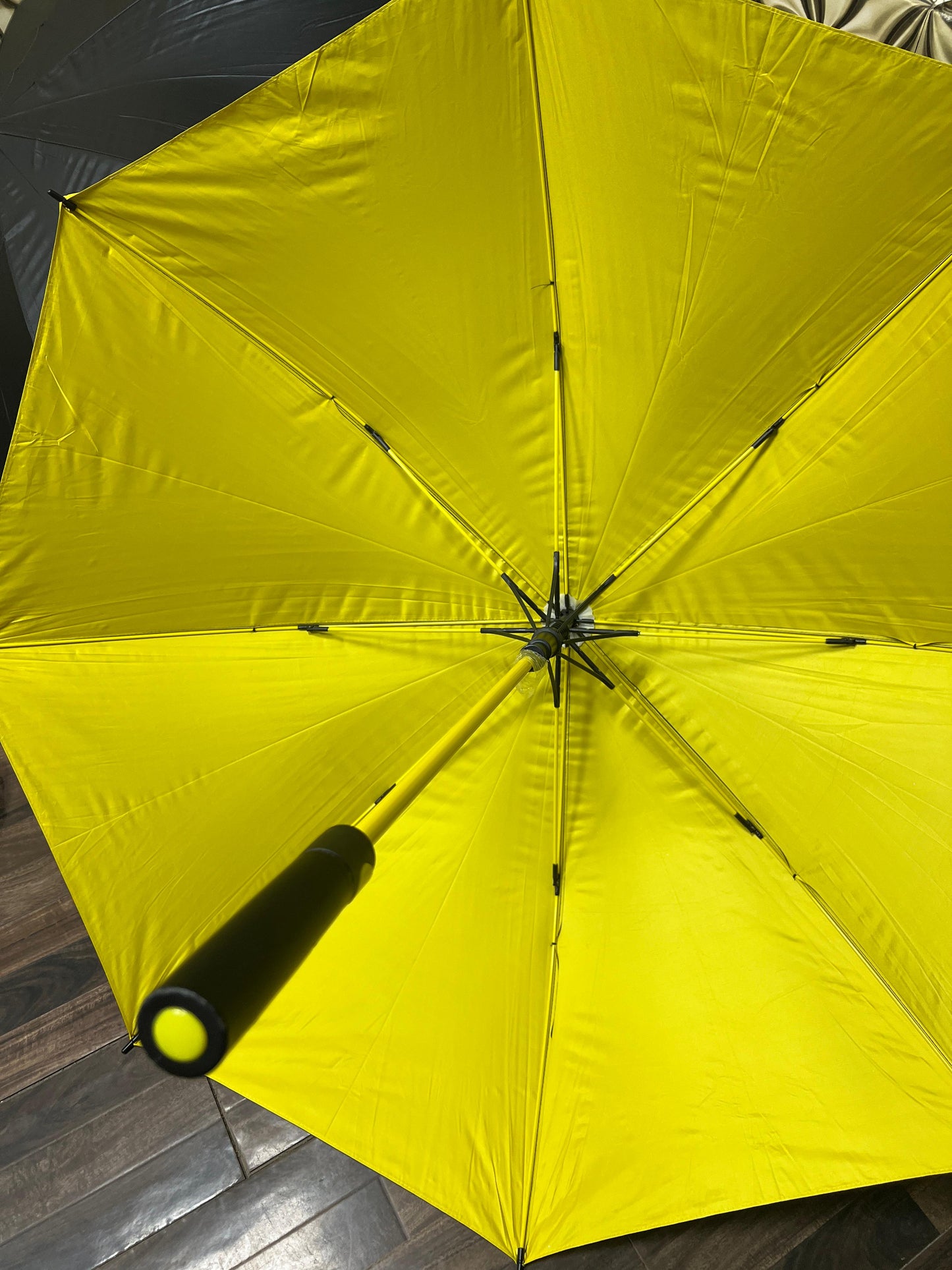 BMW Automatic Umbrella